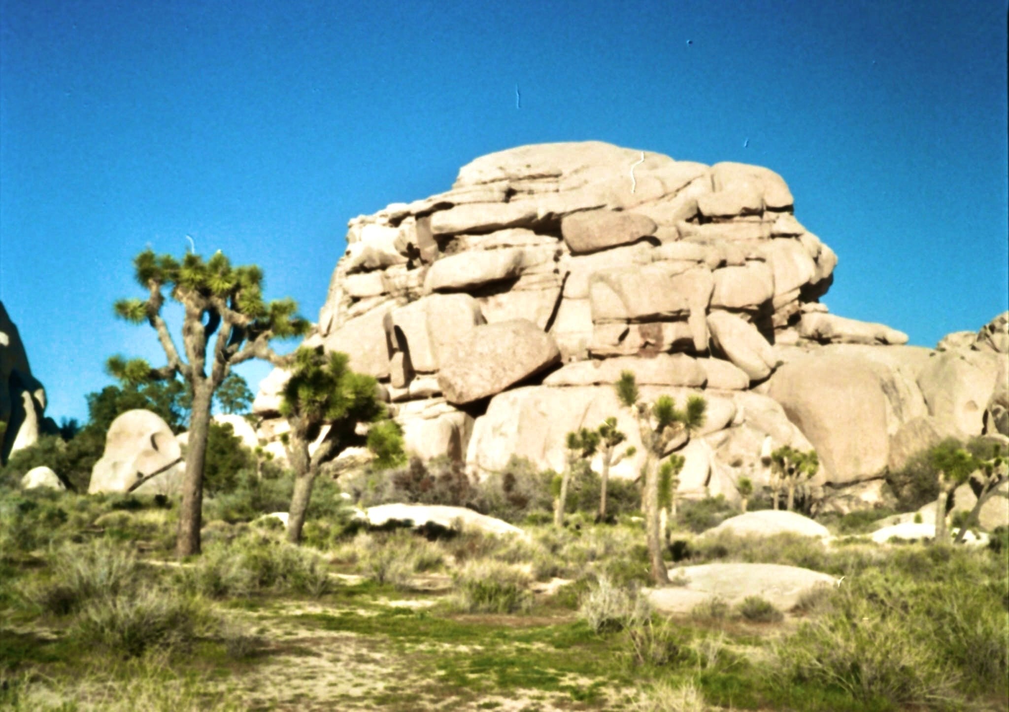 Desert landscape with rock formations