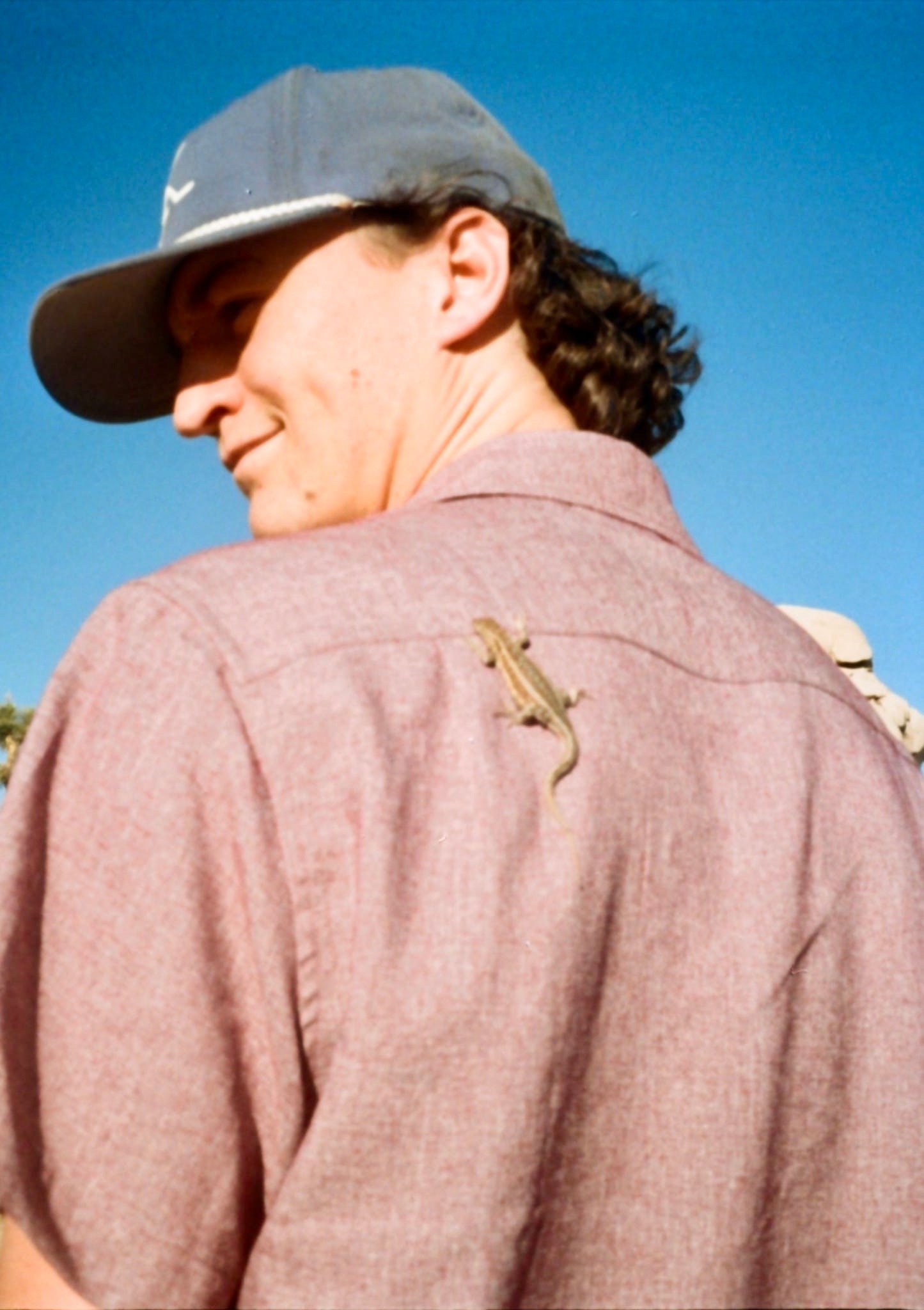 Lizard climbing up Seth's back
