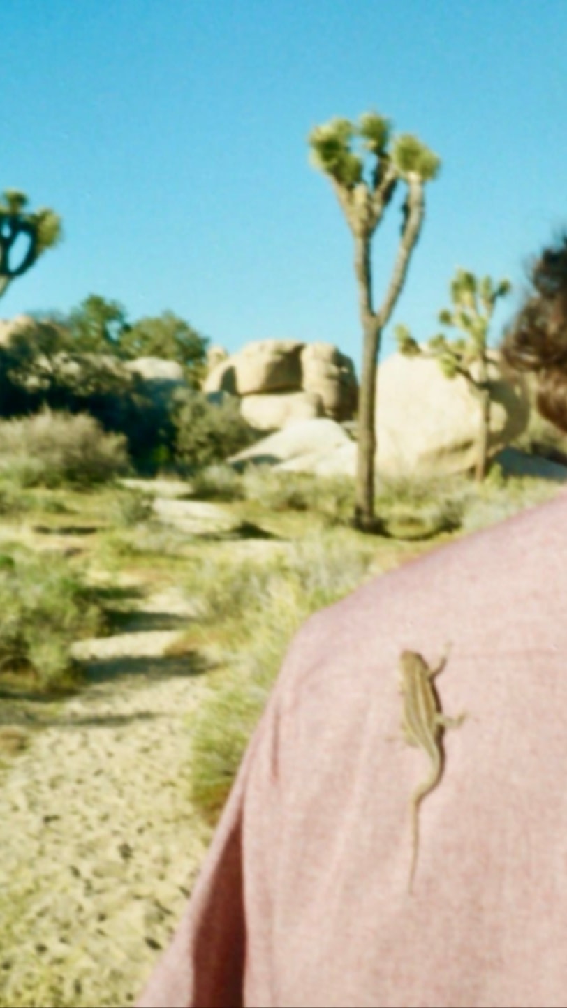 Joshua tree landscape over Seth's shoulder