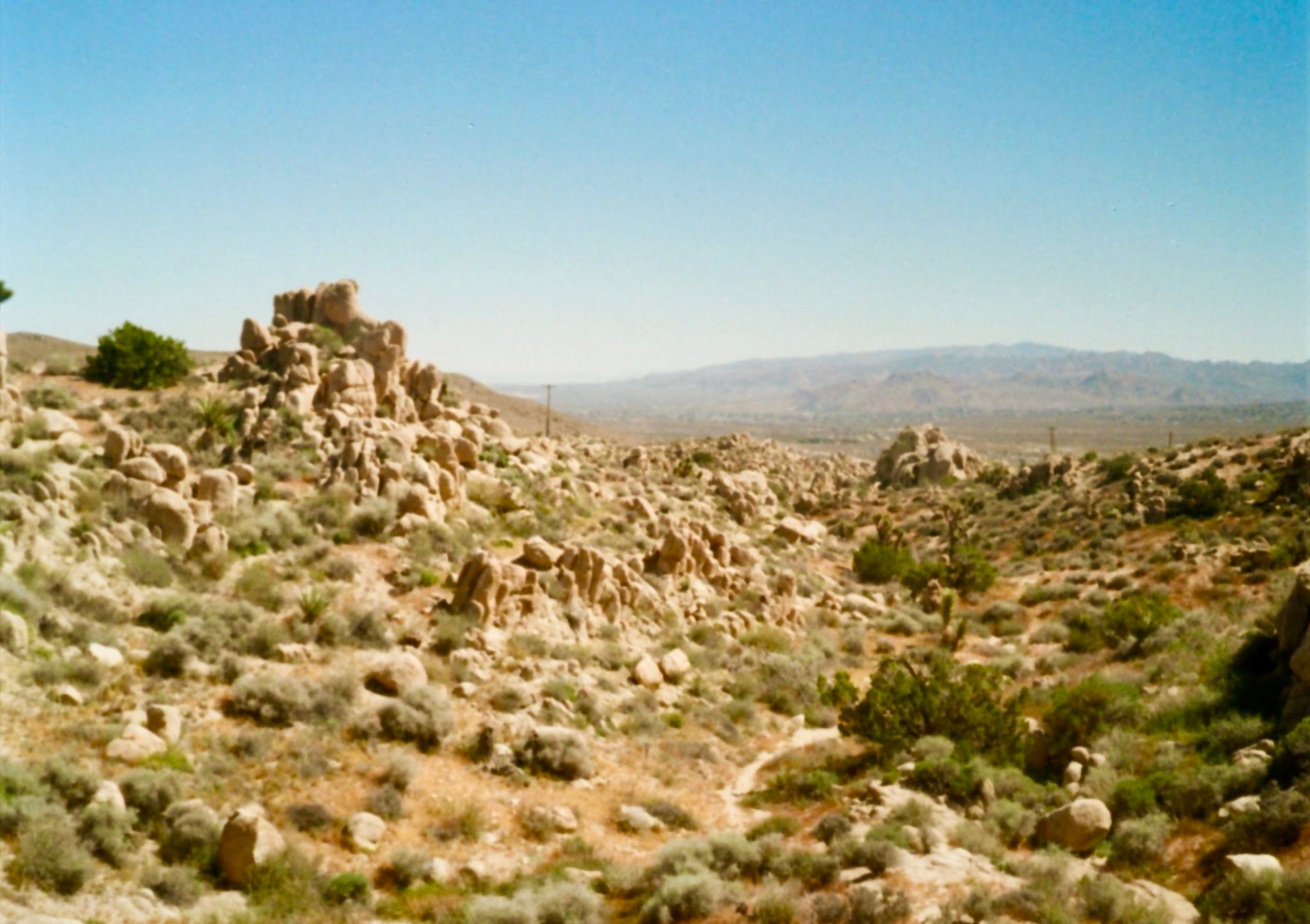 Desert rock formations and scrubland in Joshua Tree National Park