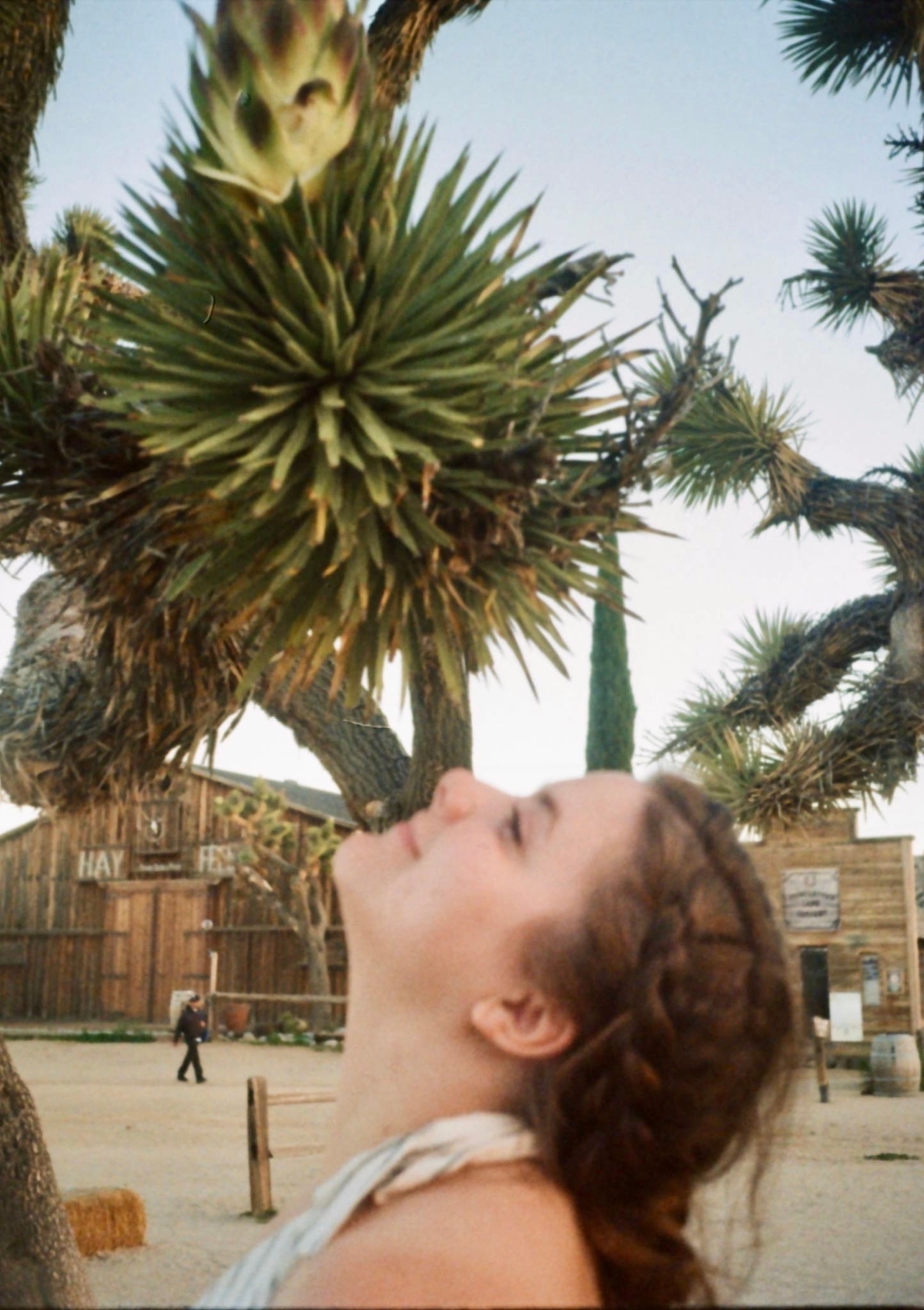 Madalena standing in front of a Joshua tree in the desert