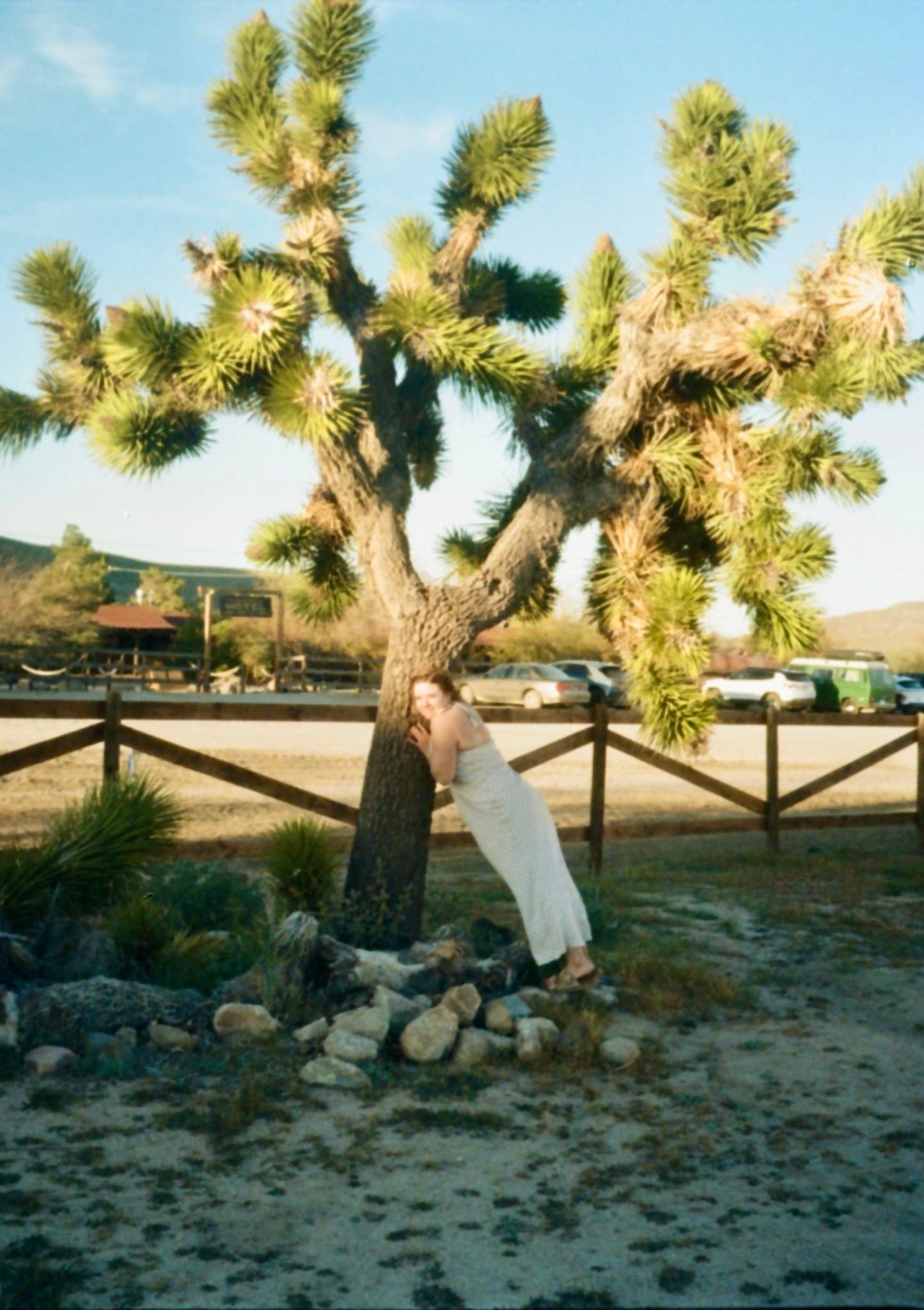 Madalena looking up at a Joshua tree, close up